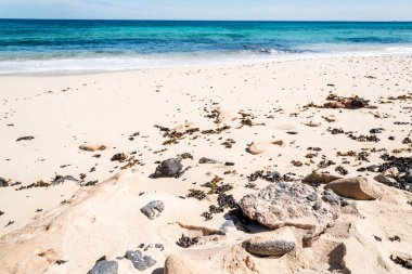 güzel bir plaj, deniz ve mavi gökyüzü