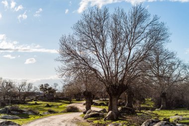 Yeşil çimen, kayalar ve karayolu ile manzara 