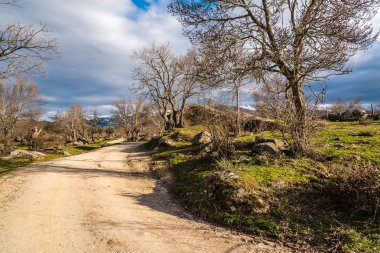 Yeşil çimen, kayalar ve karayolu ile manzara 