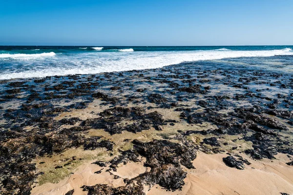 Vue panoramique sur les rochers sur la plage — Photo