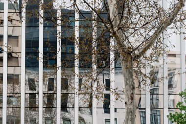 Modern ofis binası şehir bölge o karşı kentsel ağaç