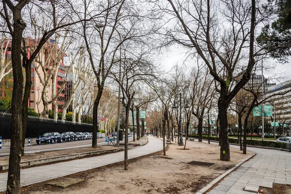 Castellana Avenue Boulevard v Madridu — Stock fotografie