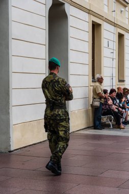 Royal Palace Prague koruyan asker