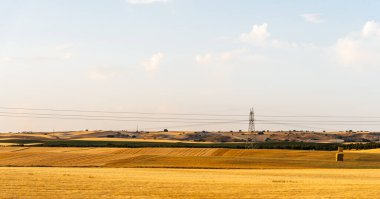 Countryside landscape with electric lines at summer