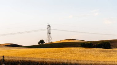 Countryside landscape with electric lines at summer