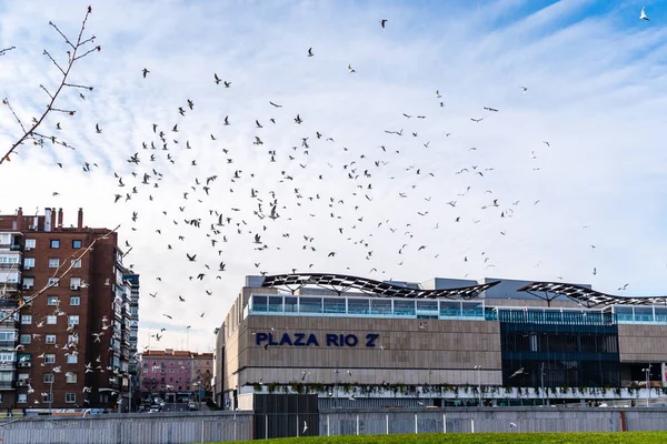 Een zwerm vogels boven het winkelcentrum Plaza Rio in Madrid Rio. — Stockfoto