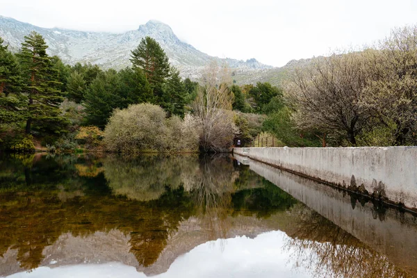 Veduta pittoresca della diga di montagna e della pineta in una giornata nebbiosa — Foto Stock