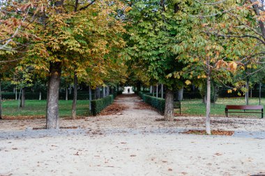 Madrid 'deki Buen Emeklilik Parkı' ndaki patika
