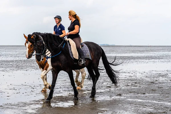 Két ismeretlen nő lovagol a Cuxhaven parton apálykor. — Stock Fotó