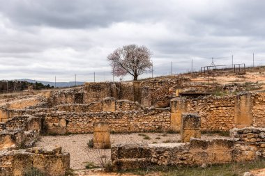 Ercavica Roma Şehri arkeoloji alanı, Guadalajara, İspanya.