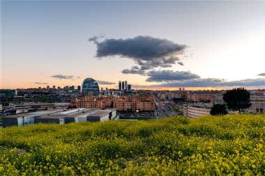 Madrid 'in ufuk çizgisinin panoramik manzarası ilkbaharda gün batımında sarı çiçeklerle kaplı tepeden