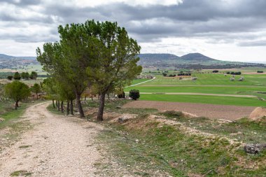 La Alcarria 'nın tipik kırsal manzarası bulutlu bir gün