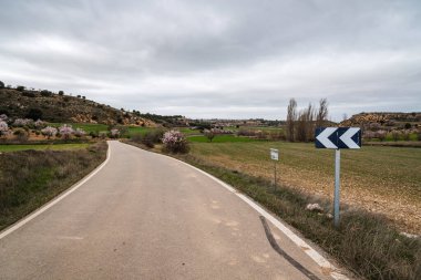 Bulutlu bir bahar gününde tarlalardan geçen boş köy yolu.
