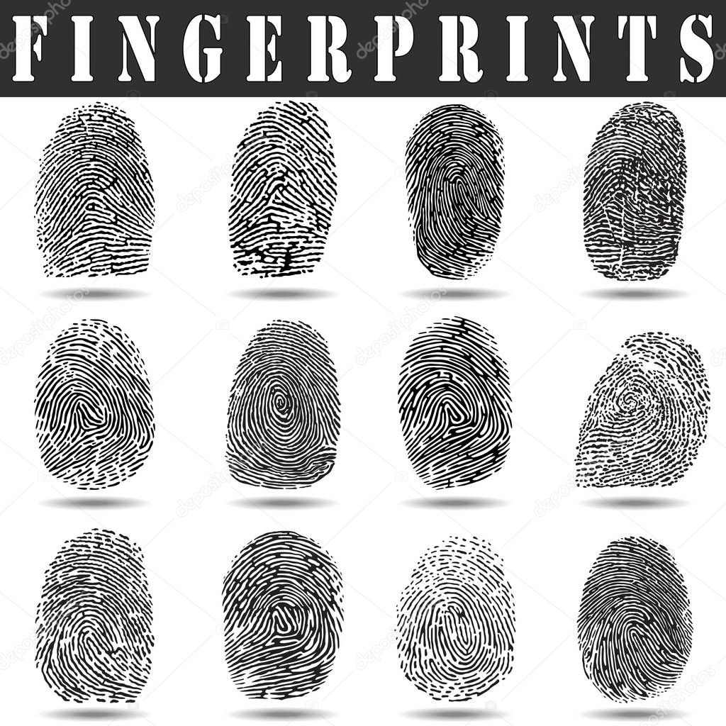 fingerprint vector illustration. fingerprint scan on a white background with a shadow