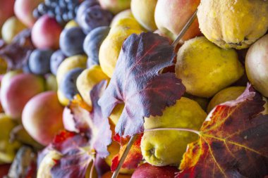 Sonbahar meyve. Armut, elma ve üzüm. Sonbaharda hasat