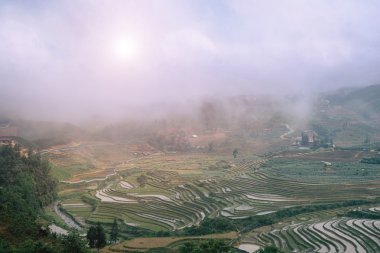 Sapa, Vietnam 'da pirinç terasları ve tepeler.