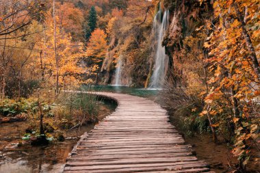Wooden bridge through the river in autumn season  clipart