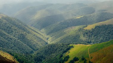 Karpat dağ tepeleri siste