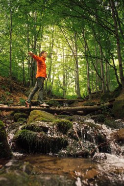 Genç aktif kadın yeşil ormanda hiking
