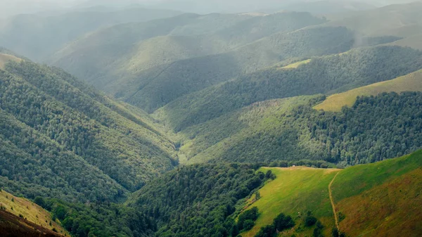 Karpat dağ tepeleri siste