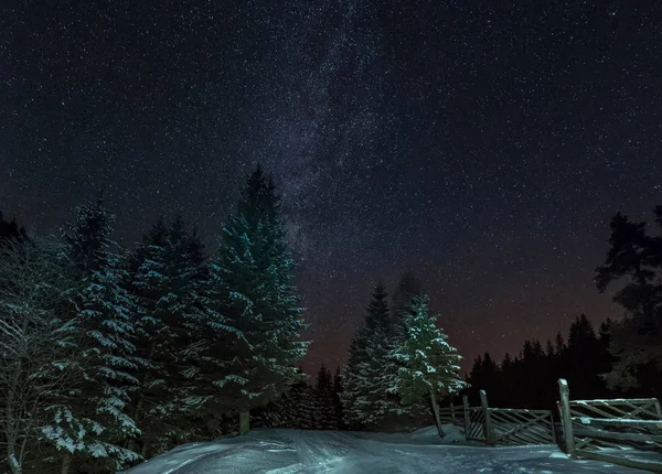 Himmel full av stjärnor i vinter fjällskog — Stockfoto