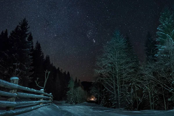 Égbolt tele csillagokkal téli hegyi erdő — Stock Fotó