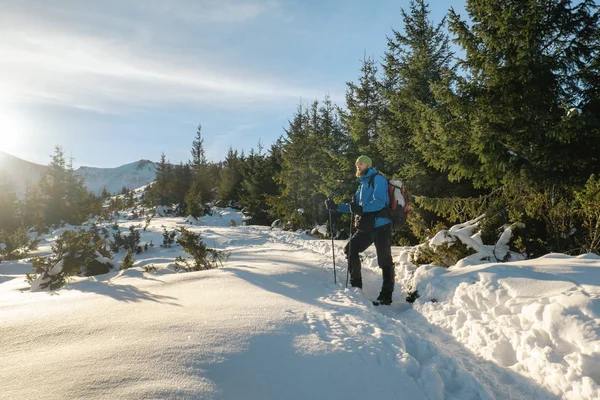 Senderismo de hombre con bastones de trekking en montaña de invierno — Foto de Stock