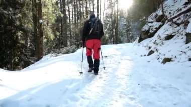 Güzel kış ormanda hiking turizm