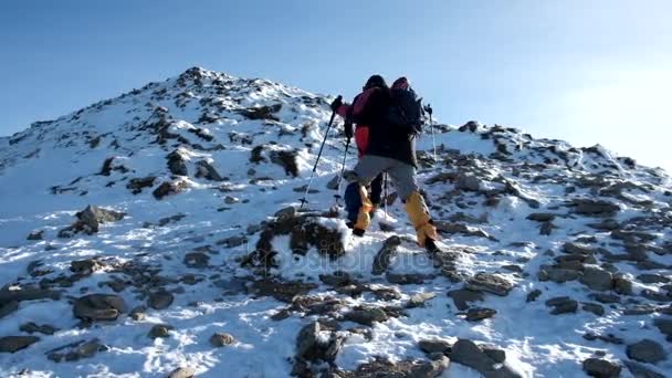 Un grup de turiști care merg împreună într-un munte frumos de iarnă — Videoclip de stoc