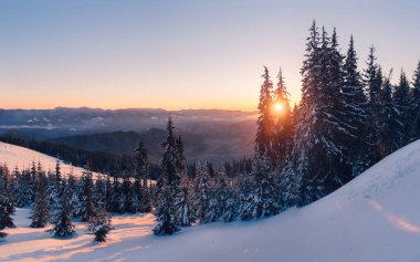 Gün batımında tarafından kar kaplı sihirli kış orman