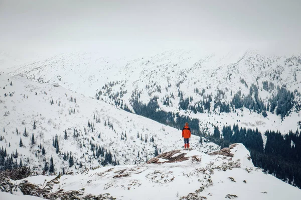 Özgürlük hissediyorum ve güzel kış dağlar keyfini çıkarın — Stok fotoğraf