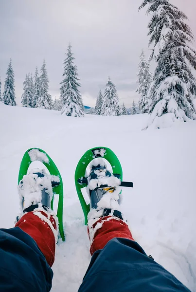 Wandelen in de prachtige winter bos in sneeuwschoenen — Stockfoto
