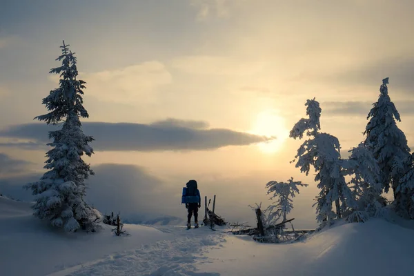 Человек путешествует в красивой зимней горе на золотом закате — стоковое фото