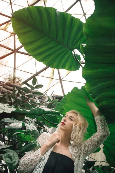 Modelo de moda posando en jardín botánico tropical — Foto de Stock