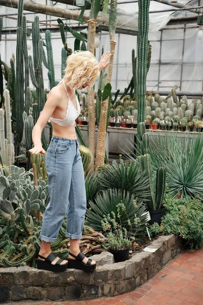 Krásná blondýnka procházky v kaktusy a sukulentní rostliny — Stock fotografie