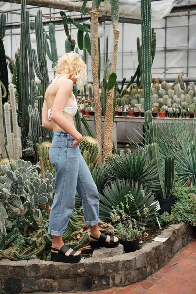 Hermosa mujer rubia caminando en cactus y plantas suculentas — Foto de Stock