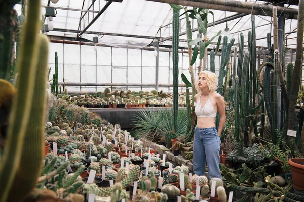 Beautiful blonde woman walking in cactus and succulent plants — Stock Photo, Image