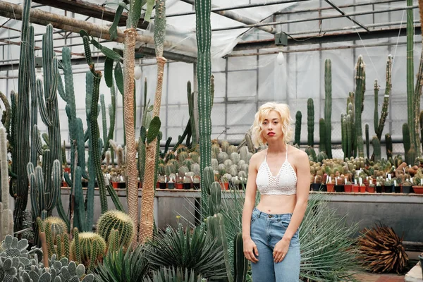 Portrait of blonde young woman between cactus and succulent plan — Stock Photo, Image
