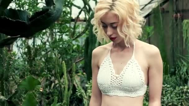 산책 하 고 선인장과 succulent 식물에서 즐기는 아름 다운 여자 — 비디오