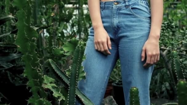 Hermosa mujer caminando y disfrutando en cactus y plantas suculentas — Vídeo de stock