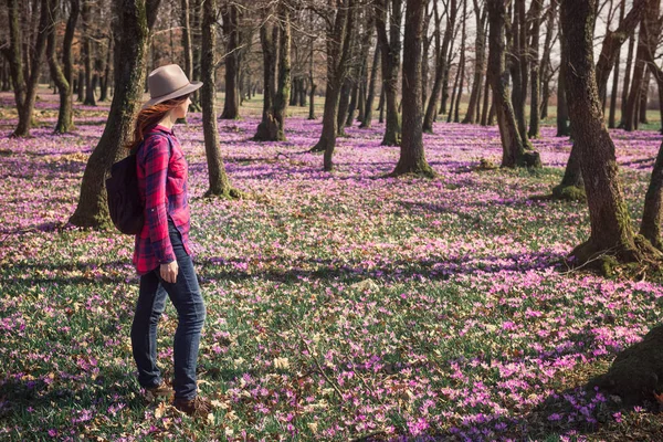 Kobieta spaceru wiosna lasu i cieszyć się Krokus kwiaty — Zdjęcie stockowe