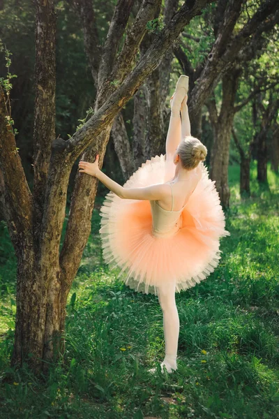 Giovane ballerina stretching e fare esercizio prima di ballare all'aperto — Foto Stock