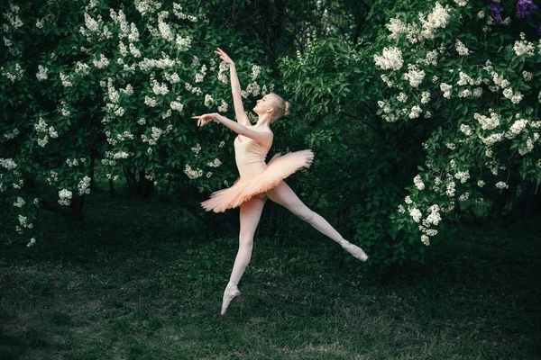 Bailarina dançando ao ar livre balé clássico posa em terras de flores — Fotografia de Stock