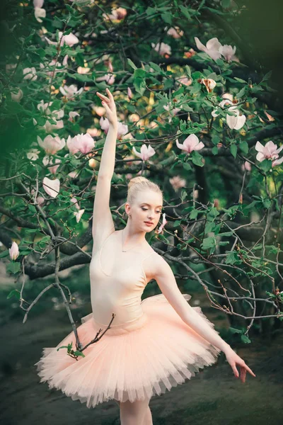 Ballerine dansant en plein air pose de ballet classique dans les terres de fleurs — Photo