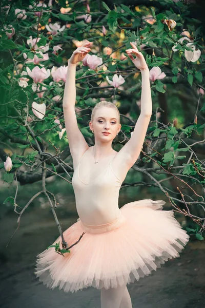 Ballerine dansant en plein air pose de ballet classique dans les terres de fleurs — Photo