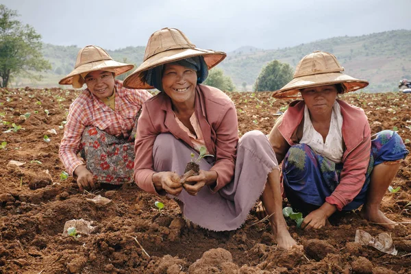 Burmese (asian) people working on agriculture field — Stock Photo, Image