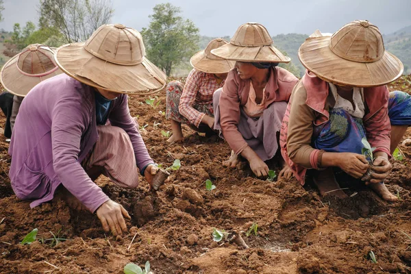 Rural life and working of burmese people — Stock Photo, Image