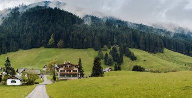 Avusturya'da Tirol bölgesinde yeşil dağ manzarası 