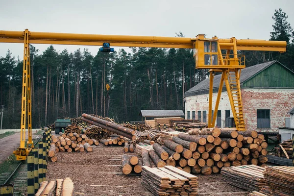 Trä loggning, sortering, transport och bearbetning på sågverk — Stockfoto