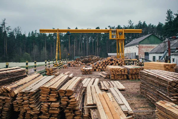 Лісозаготівля, сортування, транспортування та переробка деревини на лісопильні — стокове фото